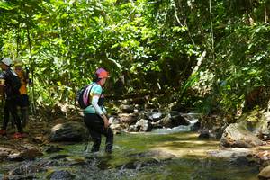 BIB: 
                            <button type="button" onclick="openModal(21844160)" class="btn btn-primary btn-sm float-right btn-popup" data-toggle="modal" data-target=".modal-high-quality">
                        <i class="fas fa-shopping-cart"></i> Add to Cart
                    </button>
                                            <button type="button" onclick="isThisMe(21844160, true)" class="btn btn-success btn-sm float-right btn-popup btn-isme hidden" data-toggle="tooltip" data-placement="bottom" title="นี่คือรูปของคุณใช่ไหม คลิกที่นี่เพื่อเอาเข้าอัลบั้ม">
                        <i class="fas fa-plus"></i> Add to album
                    </button>
                    <button type="button" onclick="isThisMe(21844160, false)" class="btn btn-warning btn-sm float-right btn-popup btn-isnotme hidden">
                        <i class="fas fa-ban"></i> Remove from album
                    </button>